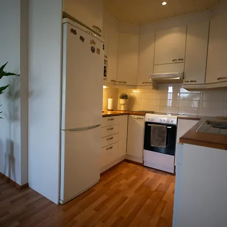 Scandinavian Sauna * Рованиеми