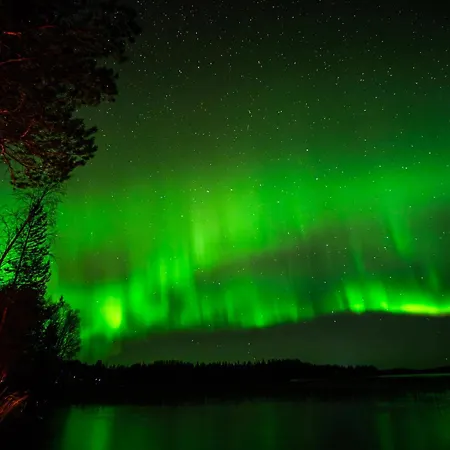 Scandinavian Sauna *