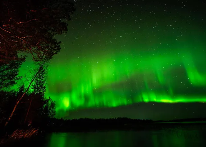 Scandinavian Sauna *